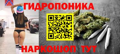шишки Чебоксары