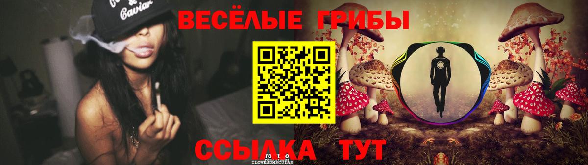 Гусиноозёрск  Галлюциногенные грибы ЛСД  Вход с VPN  Псилоцибиновые грибы Psilocybe 